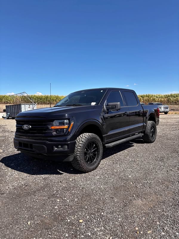 2024 Ford F-150 - XLT Pickup 4D 5 1\/2 ft