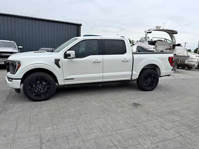 2023 Ford F-150 - Platinum