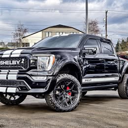 2022 Ford shelby f-150 super snake