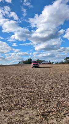 2021 Ford F-150 - XLT Pickup 4D 5 1\/2 ft