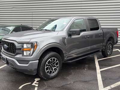 2023 Ford F-150 XLT Pickup 4D 5 1\/2 ft