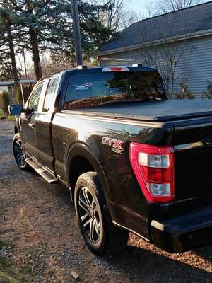 2023 Ford F-150 - STX Pickup 4D 6 1\/2 ft