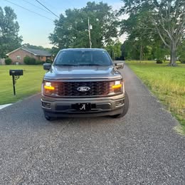 2024 Ford F-150 - STX Pickup 4D 5 1\/2 ft
