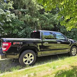 2021 Ford F150 Platinum