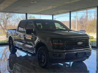 2024 Ford F-150 XLT Pickup 4D 5 1\/2 ft