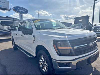2024 Ford F-150 XLT Pickup 4D 5 1\/2 ft