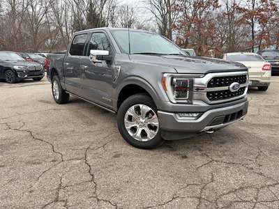2022 Ford F-150 - Platinum