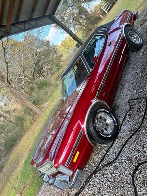 1975 Ford gran torino - Elite