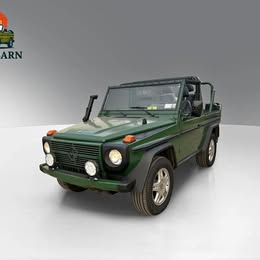 1990 Mercedes-Benz g-class - 250gd wolf - clean carfax