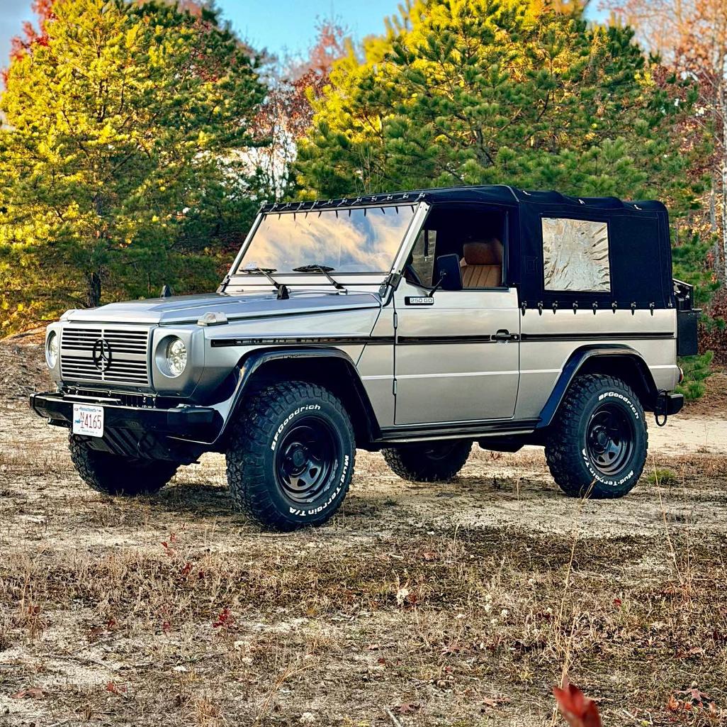 1991 Mercedes-Benz G-Class - 250gd