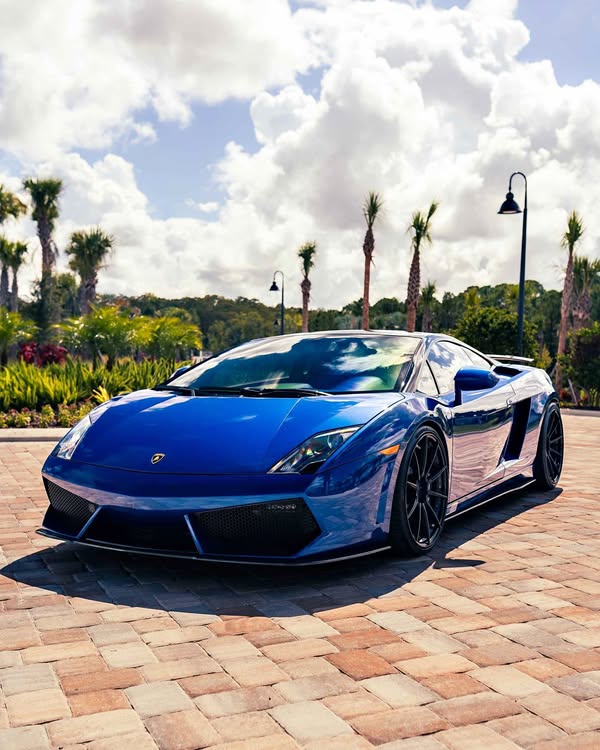 2011 Lamborghini Gallardo - LP 550-2 Bicolore Coupe 2D