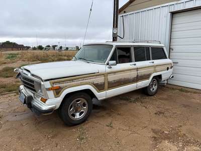 1987 Jeep Grand Wagoneer - Sport Utility 4D