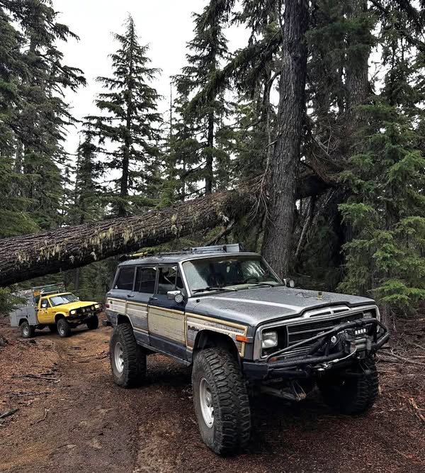 1990 Jeep Wagoneer