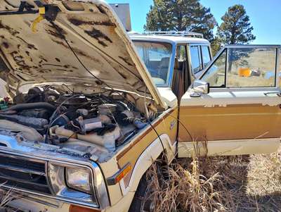 1984 Jeep Wagoneer - Sport Utility 4D