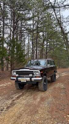 1987 Jeep Grand Wagoneer