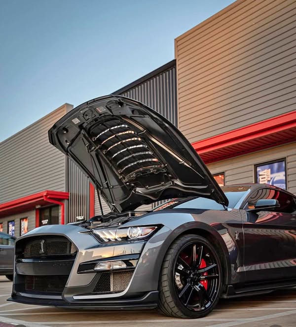 2021 Ford Mustang - Shelby GT500 Cobra Coupe 2D