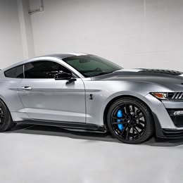 2020 Ford mustang shelby gt500