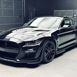 2022 Ford Mustang Shelby GT500 RWD