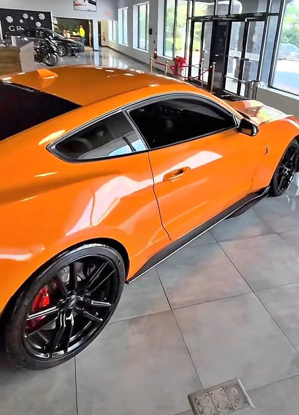 2021 Ford Mustang - Shelby GT500 Coupe 2D