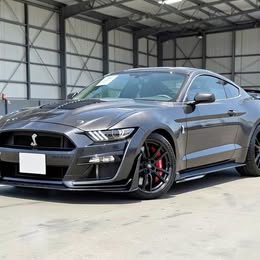 2022 Ford Mustang Shelby GT500  8865 Miles