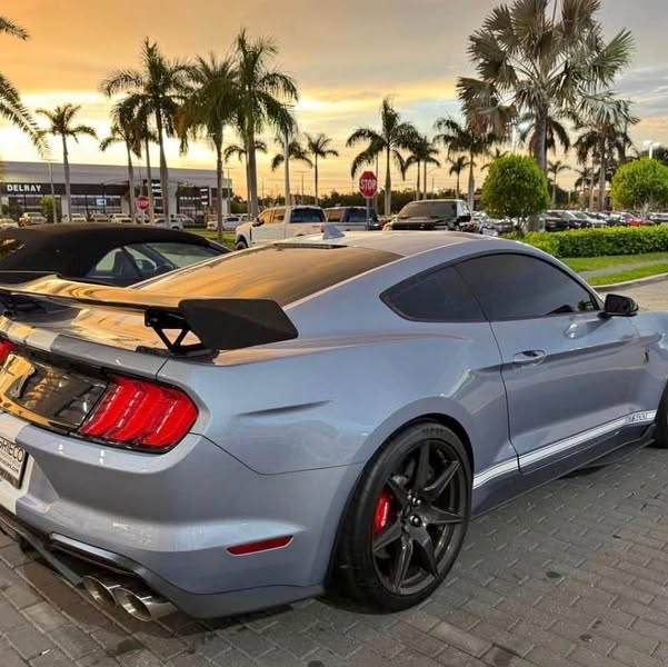 2022 Ford Mustang - Shelby GT500 Coupe 2D