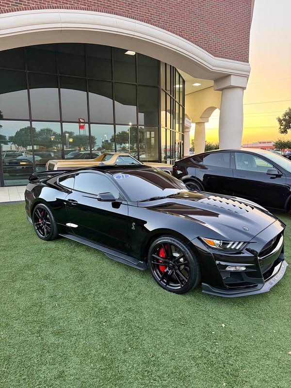 2021 Ford Mustang  - Shelby GT500