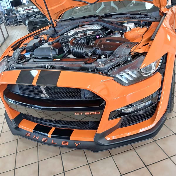 2021 Ford Mustang - Shelby GT500 Cobra Coupe 2D