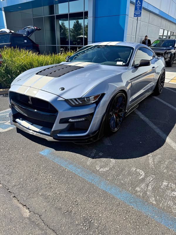 2022 Ford Mustang - Shelby GT500 Coupe 2D