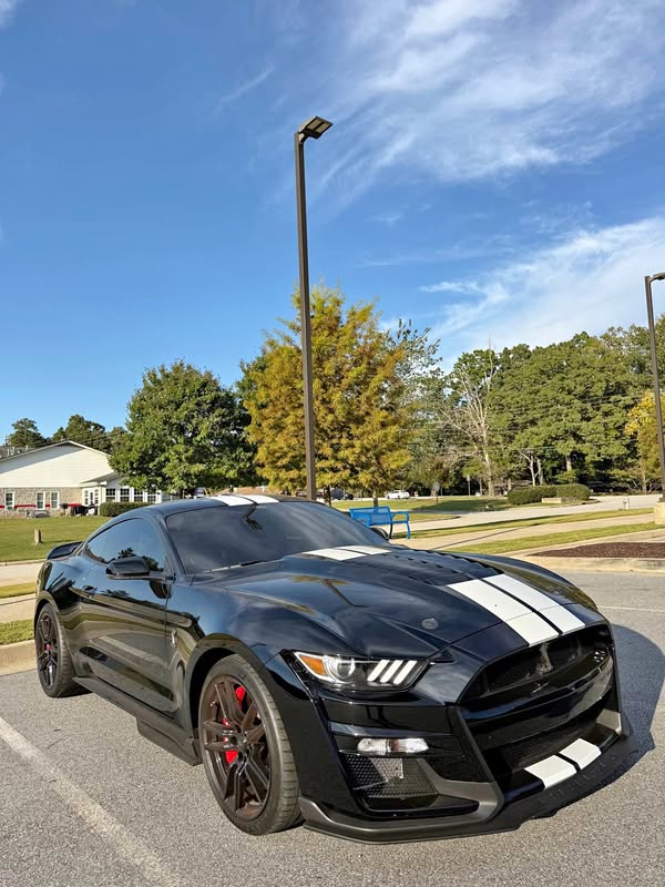 2021 Ford Mustang - Shelby GT500 Coupe 2D
