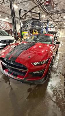2020 Ford Mustang - GT500