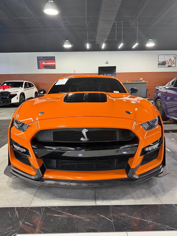 2021 Ford Mustang - Shelby GT500 Cobra Coupe 2D