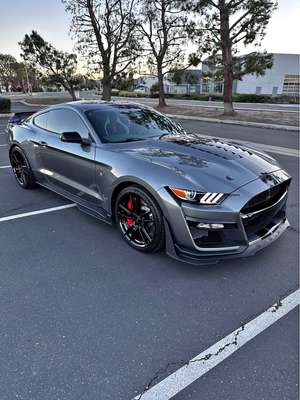 2021 Ford Mustang - Shelby GT500 Coupe 2D