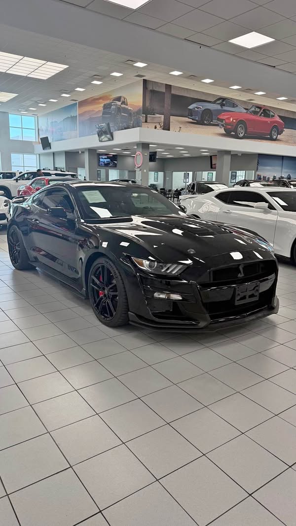 2022 Ford Mustang - Shelby GT500 Cobra Coupe 2D
