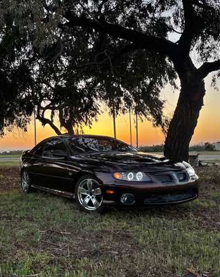 2006 Pontiac GTO - Coupe 2D