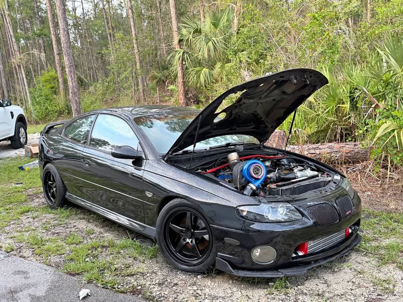2006 Pontiac GTO - Coupe 2D