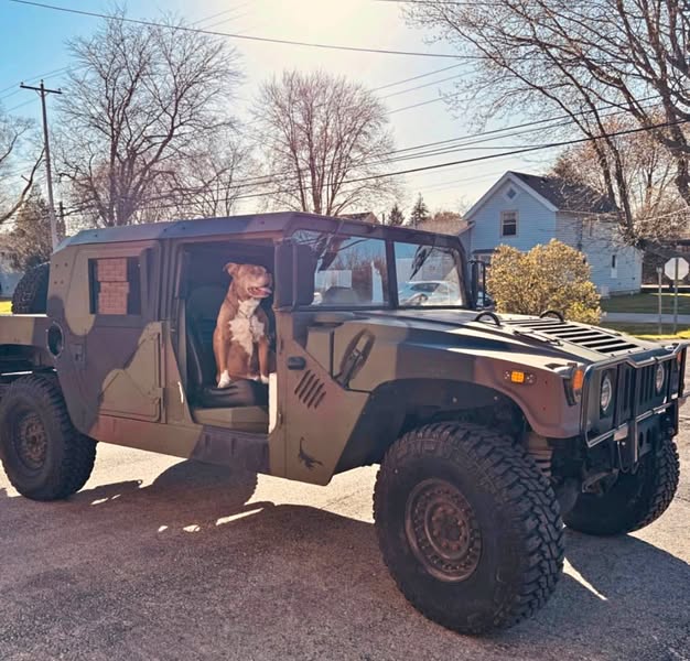 1995 Hummer H1
