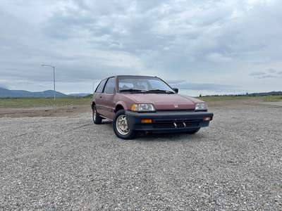 1987 Honda Civic - DX Hatchback 2D