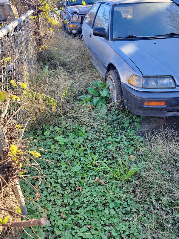 1988 Honda Civic - CX Hatchback 2D