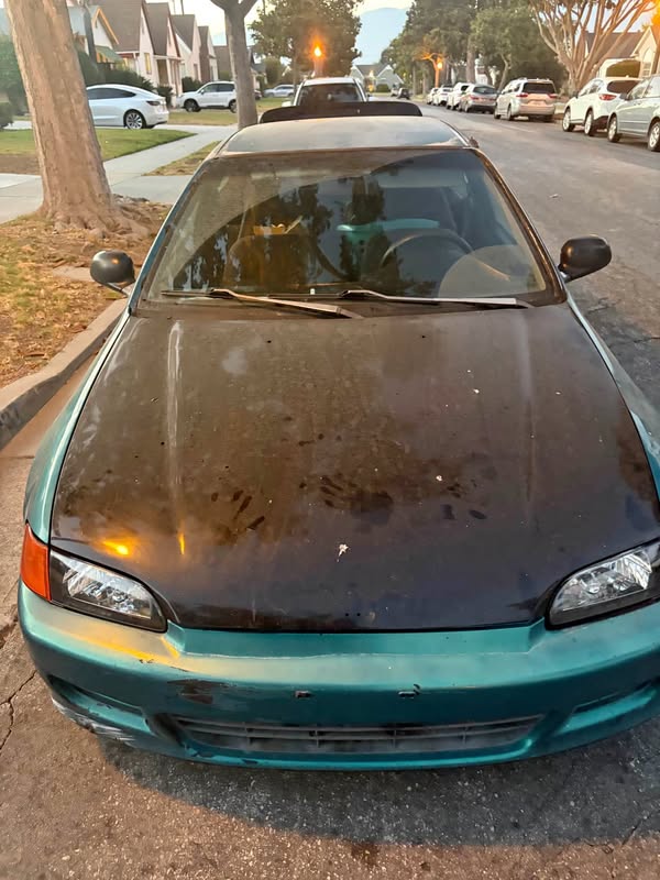 1995 Honda Civic - DX Hatchback 2D