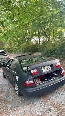 1994 Honda Civic - ex