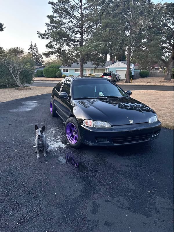 1995 Honda Civic - EX Coupe 2D