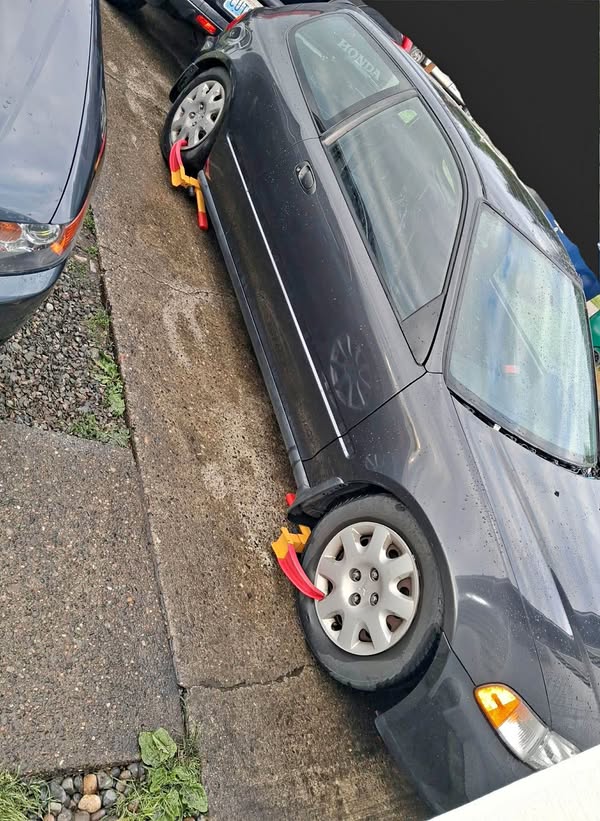 1995 Honda Civic - DX Hatchback 2D
