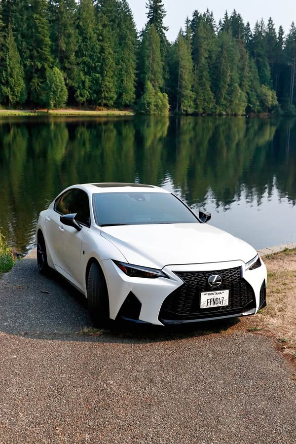 2025 Lexus IS - IS 350 F SPORT Sedan 4D