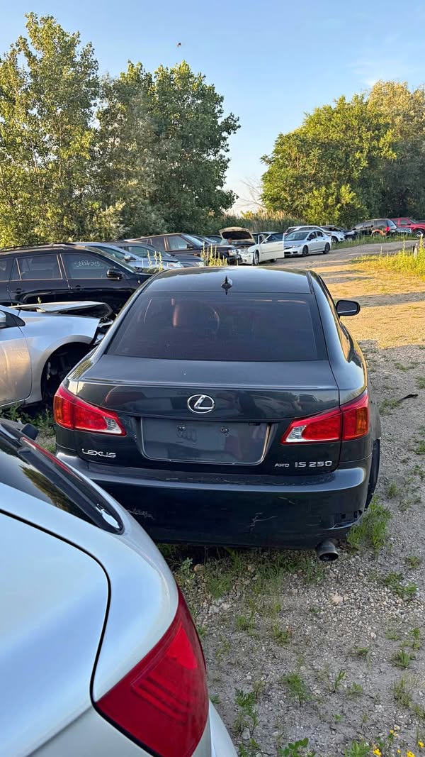 2010 Lexus IS - Grey