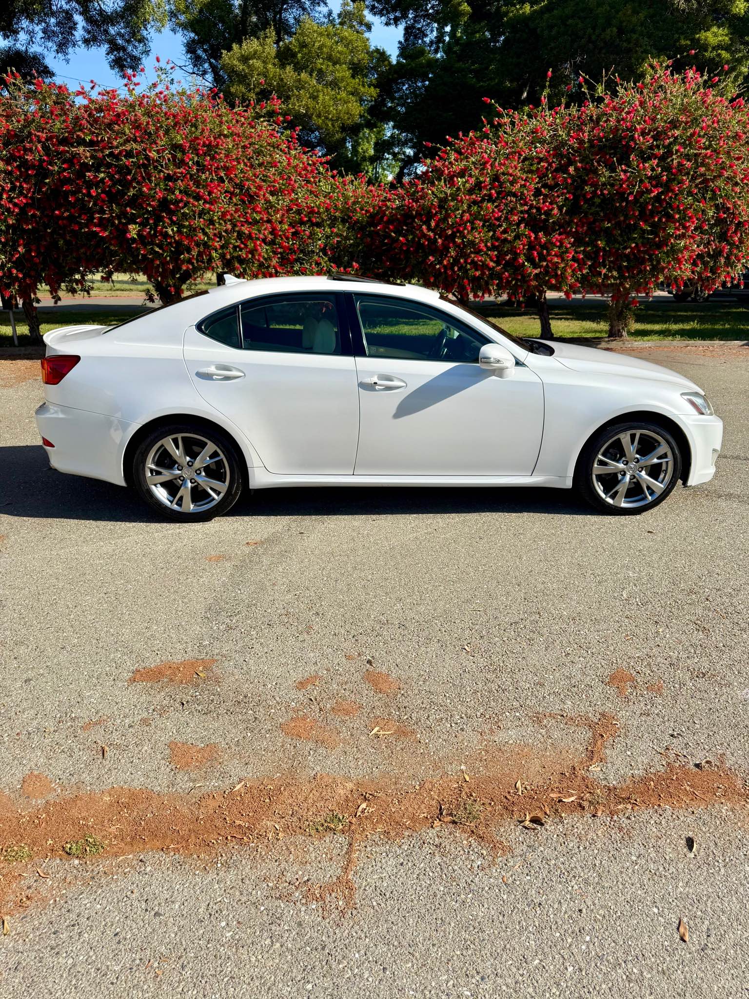 2009 Lexus IS - IS 250 Sedan 4D