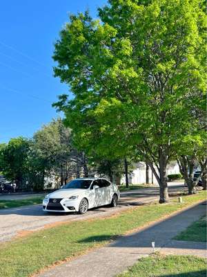 2014 Lexus IS F - Sport Sedan 4D