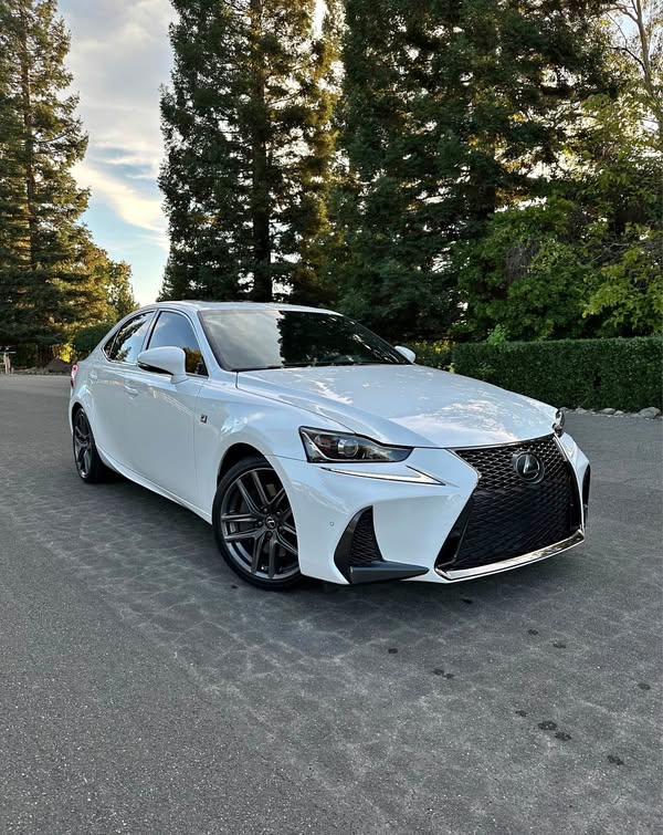 2019 Lexus IS - 300 F-Sport \u2022 RWD \u2022 2.0 Turbo