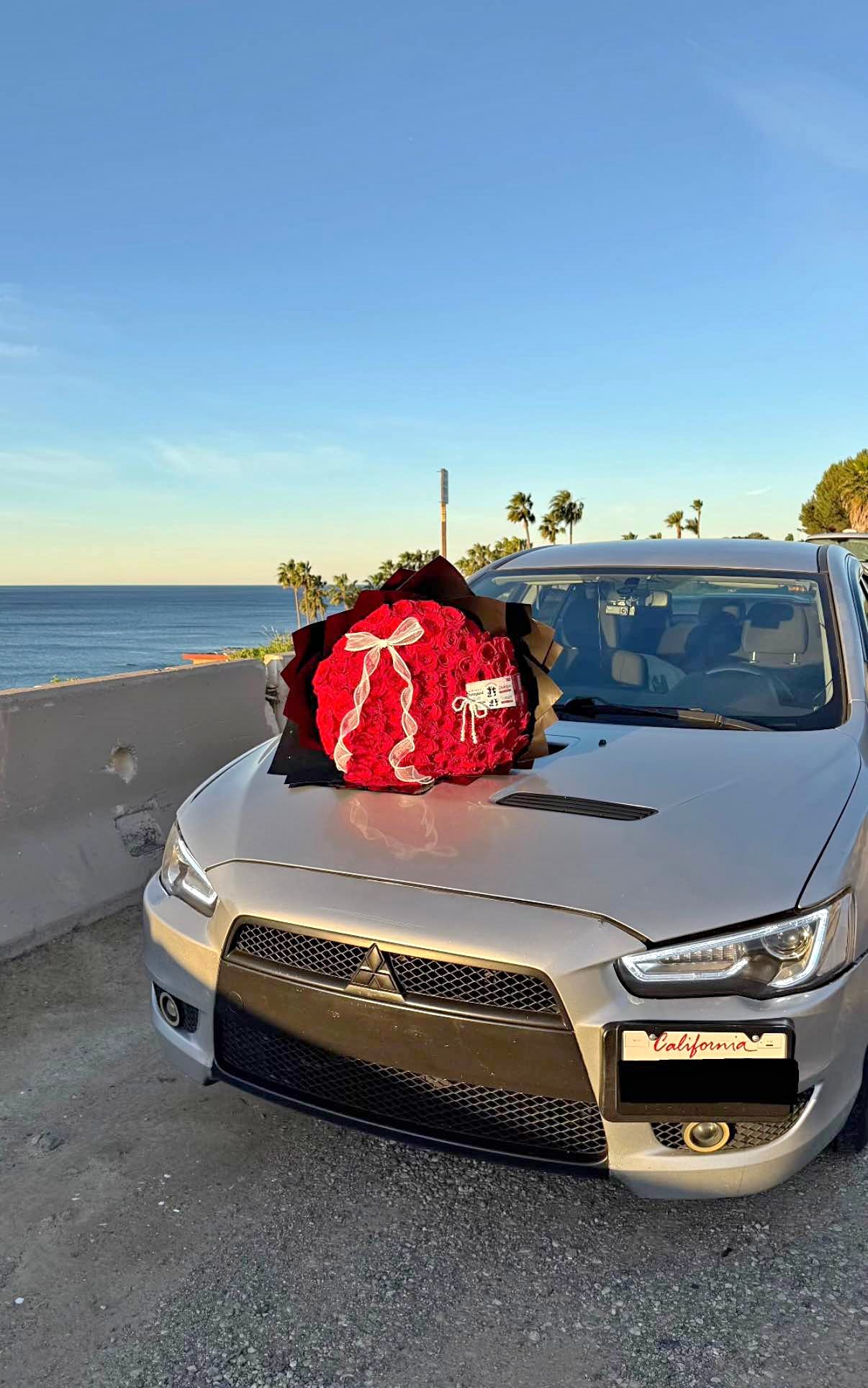 2010 Mitsubishi Lancer - DE Sedan 4D