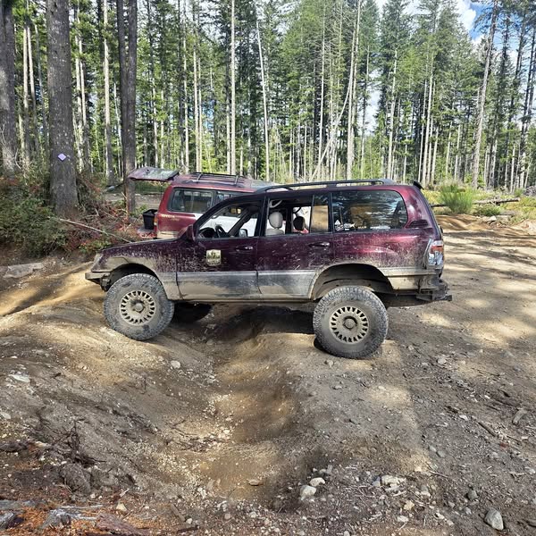 1998 Toyota Landcruiser - Sport Utility 4D
