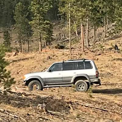 1992 Toyota Landcruiser - Sport Utility 4D